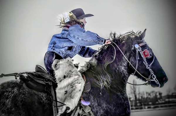 drill-team-draft-horse
