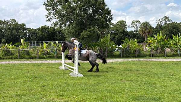 endurance-draft-horse