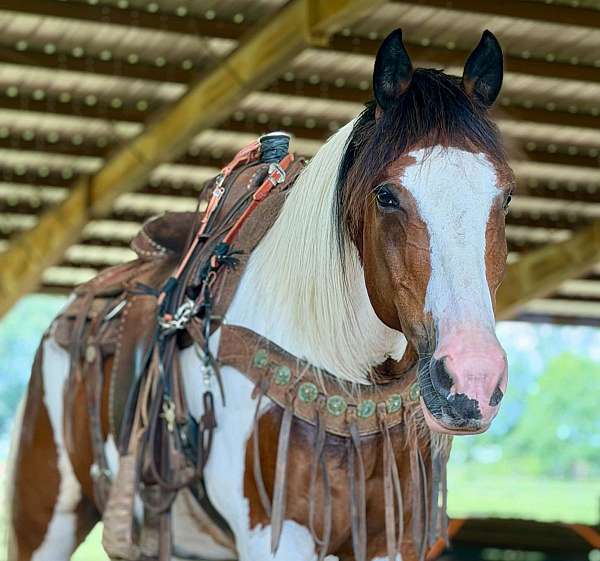 tobiano-mustang