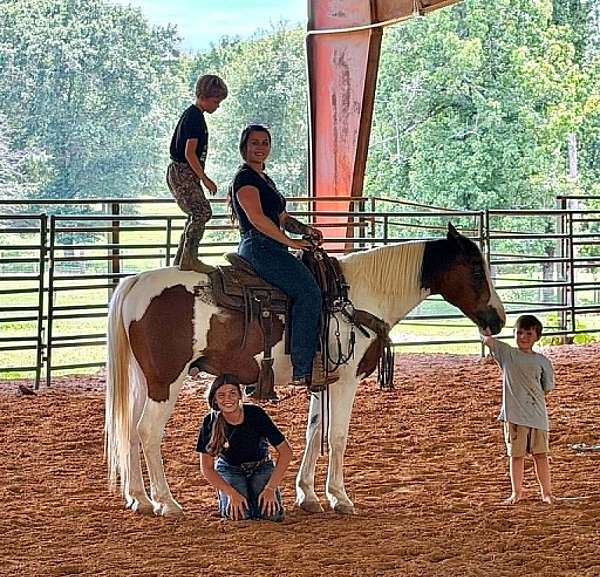 athletic-mustang-horse