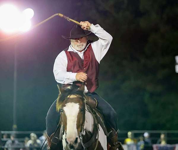husband-safe-mustang-horse