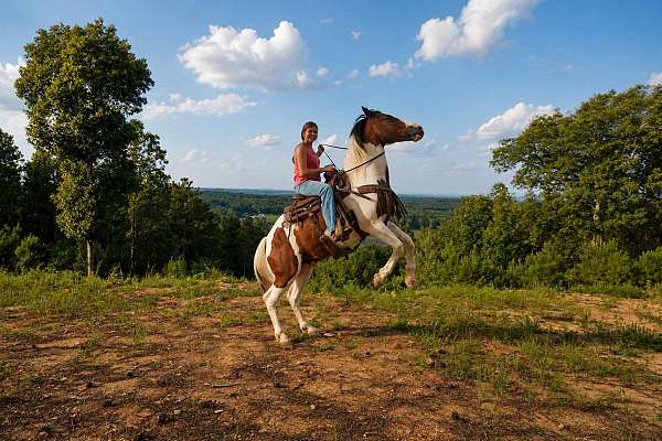 jumping-mustang-horse