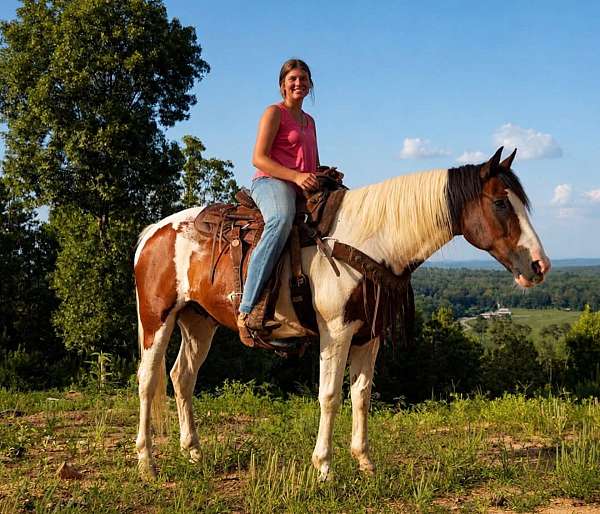 lesson-mustang-horse
