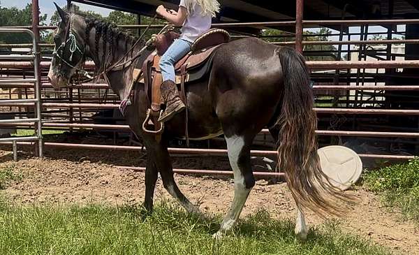 riding-lessons-paint-horse