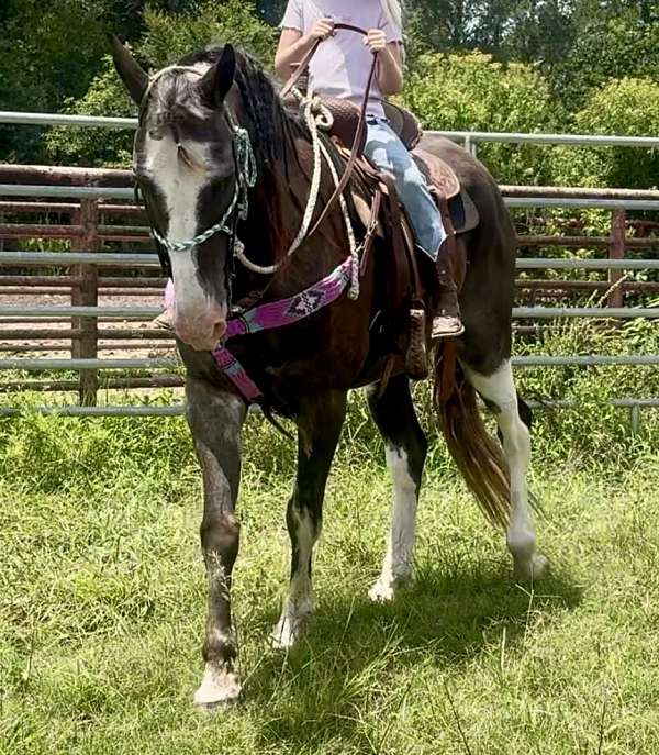 back-paint-horse