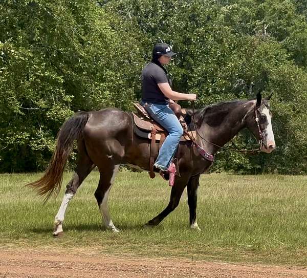 beginner-safe-paint-horse