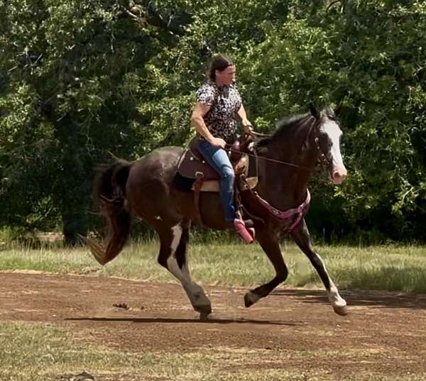 beginner-safe-kid-pony-paint-horse