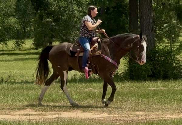 bridle-paint-horse