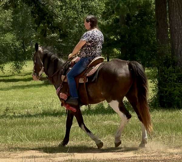 catch-paint-horse