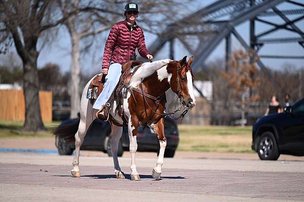 ranch-versatility-paint-horse