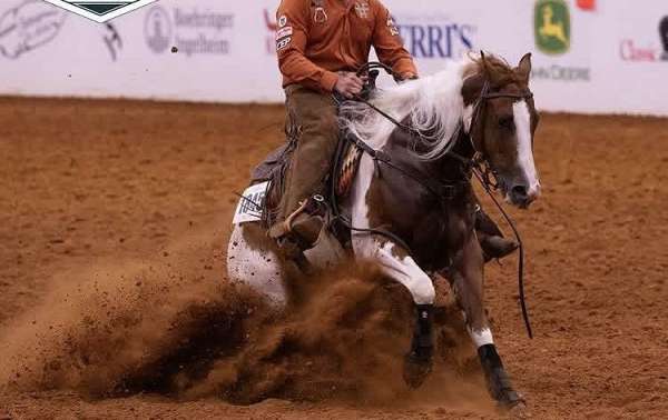 trail-riding-paint-horse