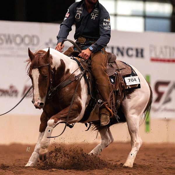 western-riding-paint-horse