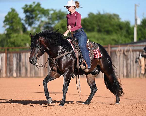 ranch-quarter-horse