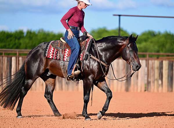ranch-versatility-quarter-horse