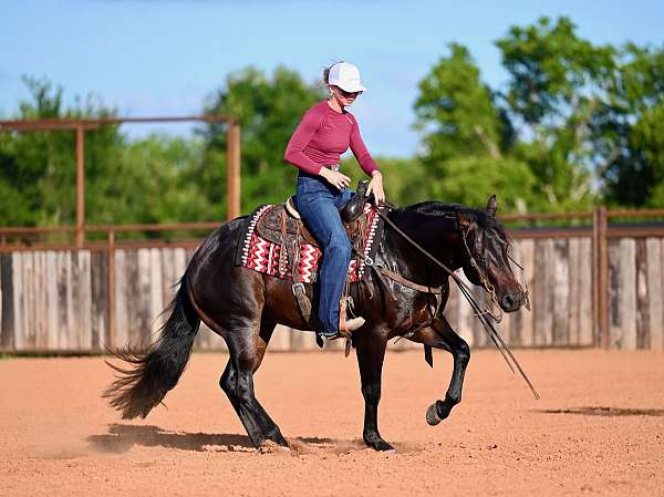 ranch-work-quarter-horse
