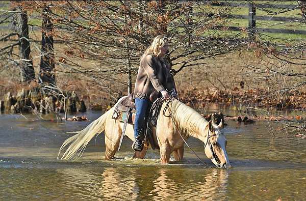 barrel-quarter-horse