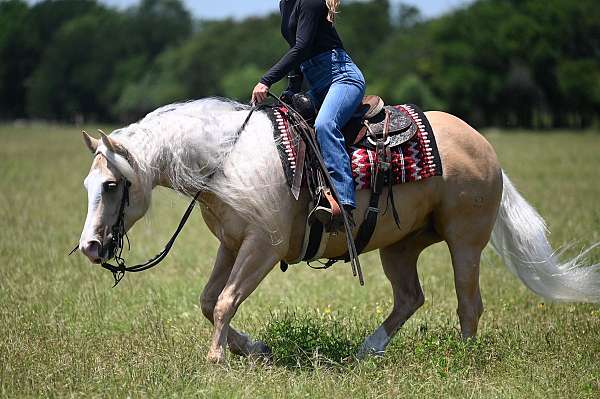 flashy-quarter-horse