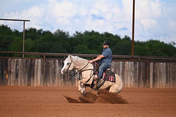 ranch-quarter-horse