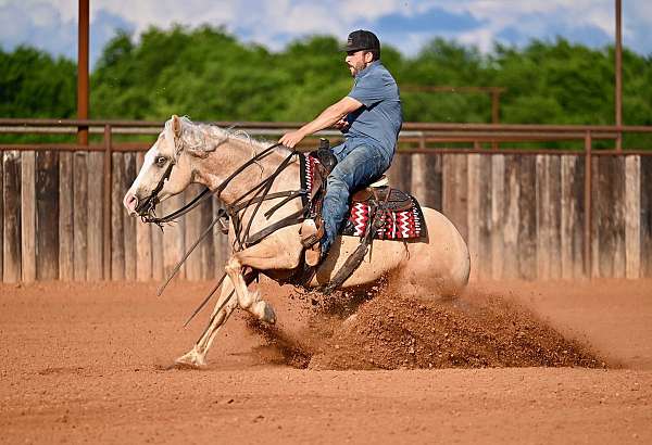 ranch-versatility-quarter-horse