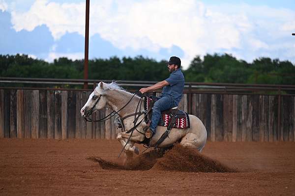 ranch-work-quarter-horse