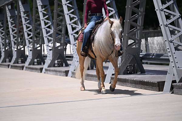 youth-quarter-horse