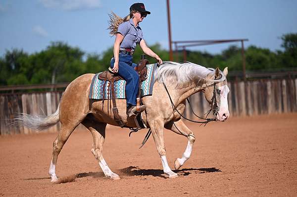 ranch-quarter-horse