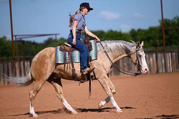 ranch-versatility-quarter-horse