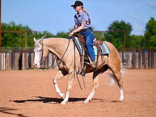 ranch-work-quarter-horse