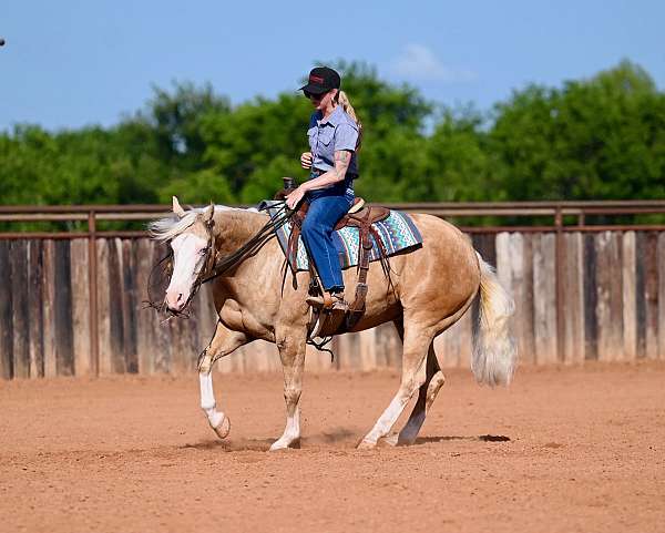reining-quarter-horse