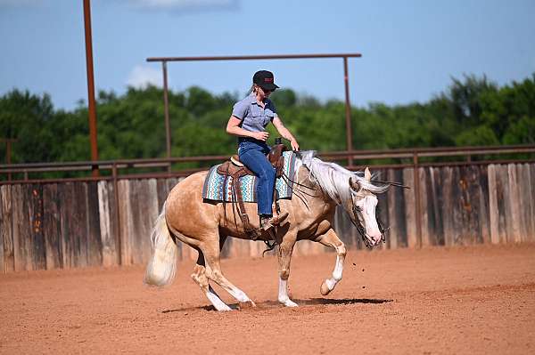 roping-quarter-horse