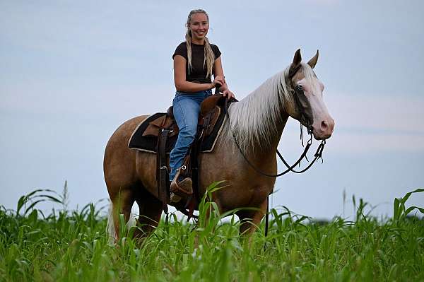 trail-riding-quarter-horse