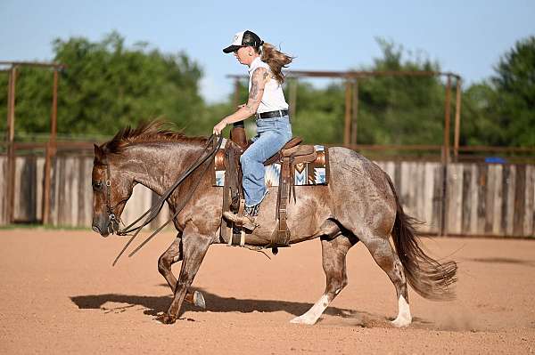 cutting-quarter-horse