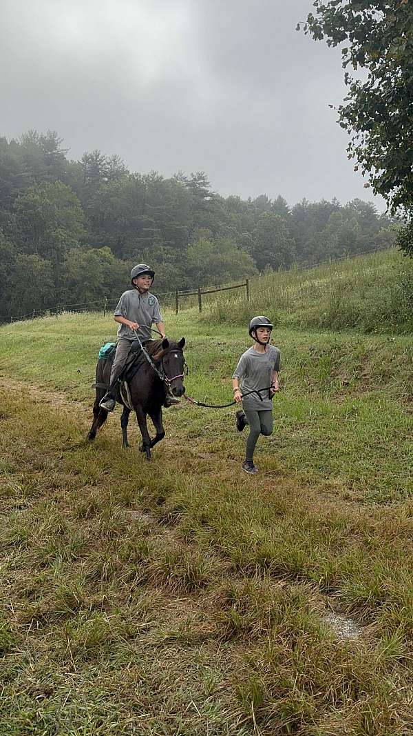 cross-youth-mare