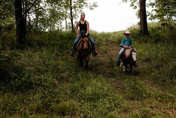 tovero-kid-safe-pony