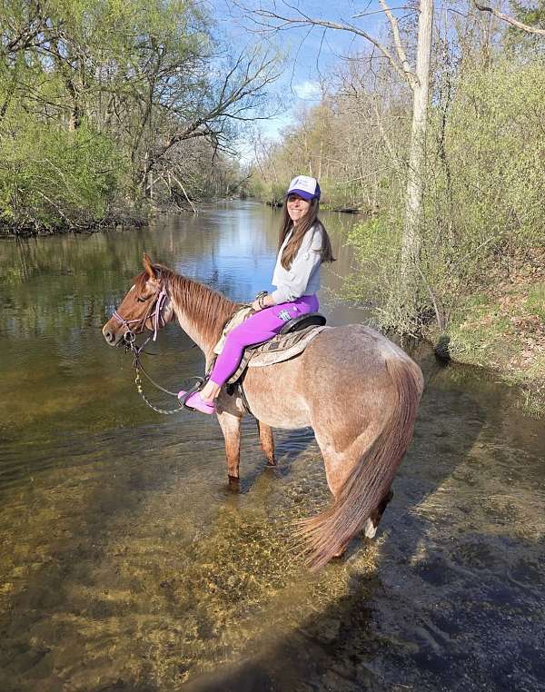 all-around-quarter-horse