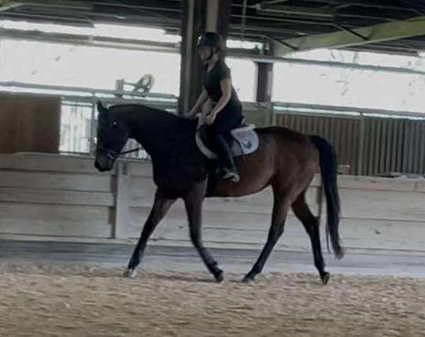 atlanta-mare