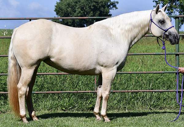 pennin-mare