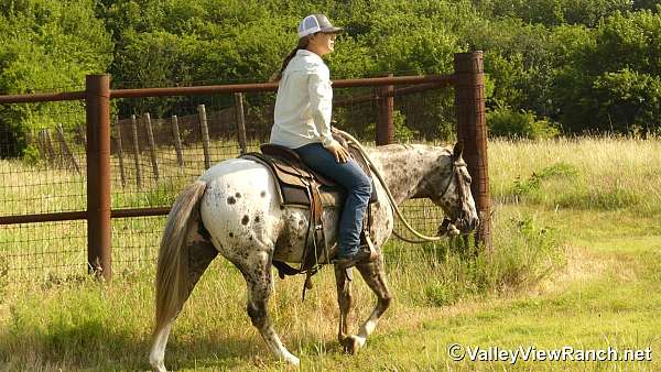 kid-safe-poa-pony