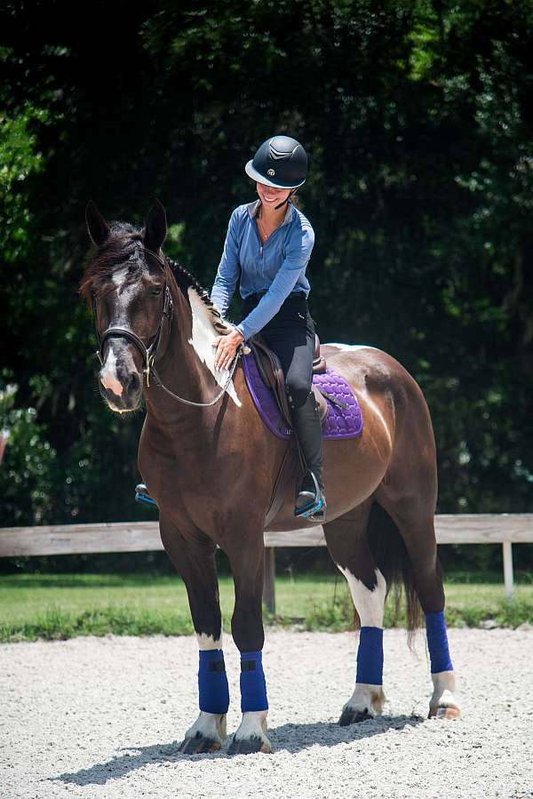 athletic-draft-horse