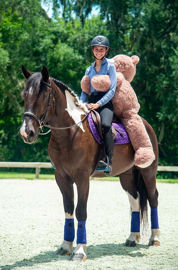 playday-draft-horse