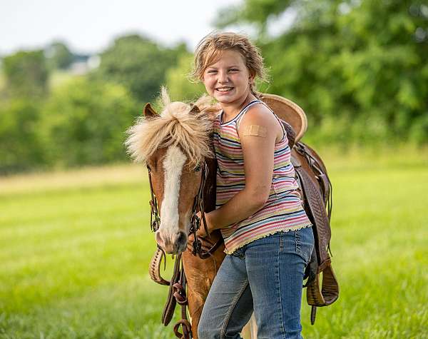 beginner-pony