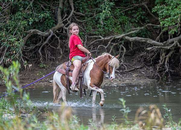 driving-pony