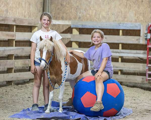 trail-riding-pony