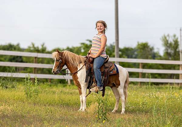 western-riding-pony