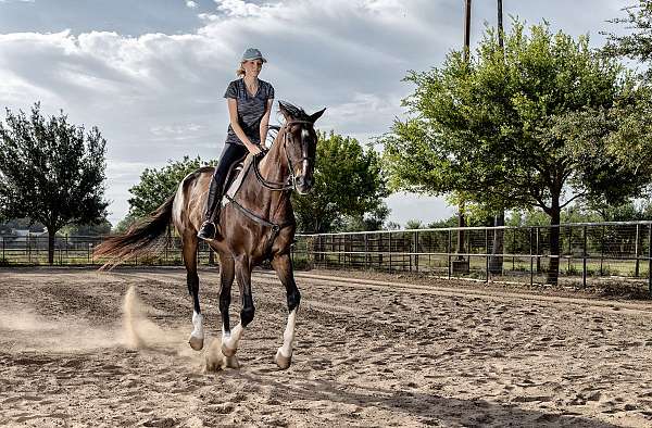 cowboy-mounted-shooting-thoroughbred-horse