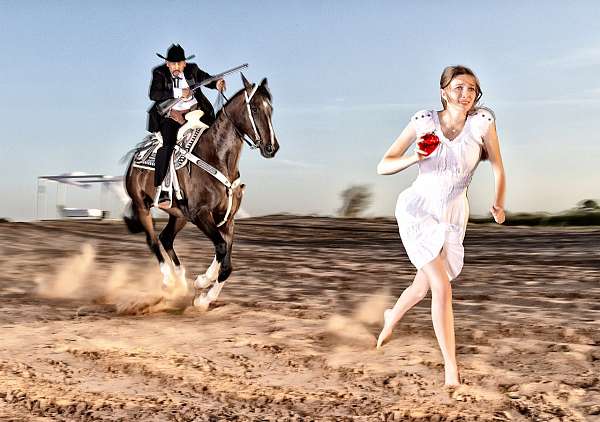 companion-thoroughbred-horse