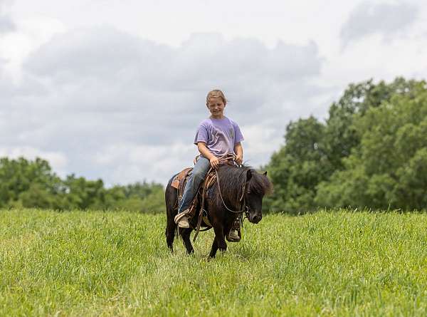 beginner-pony