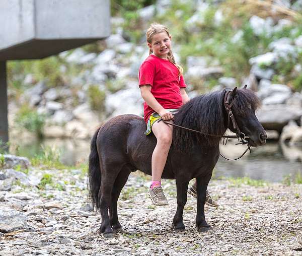 kid-safe-pony