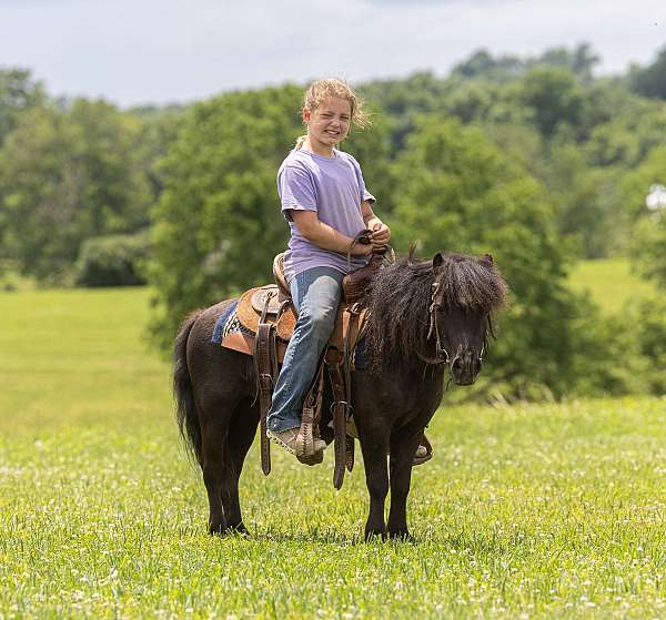 trail-riding-pony