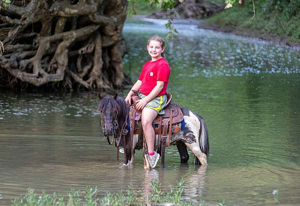 harness-pony